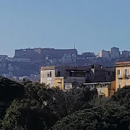 Martini House-2